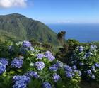 Azory - Faial, Pico a São Jorge