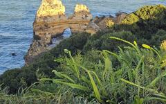 Rota Vicentina - Fishermans trail