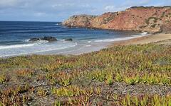 Rota Vicentina - Fishermans trail