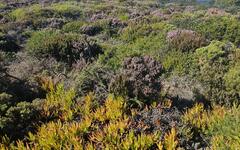 Rota Vicentina - Fishermans trail