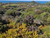 Rota Vicentina - Fishermans trail