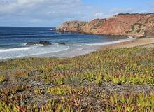 Rota Vicentina - Fishermans trail